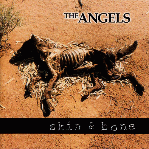 Angel City : Skin and Bone